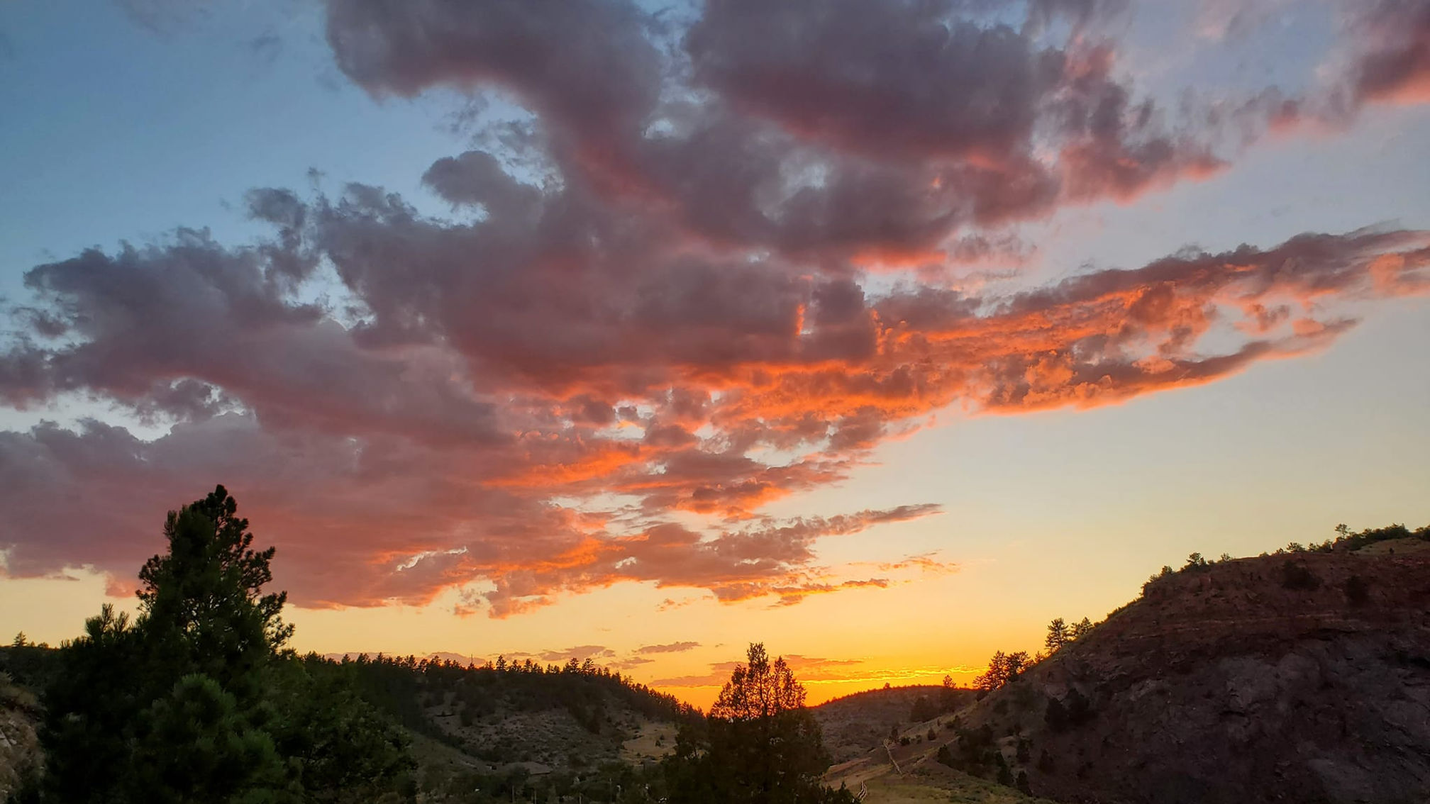 ENJOY WYOMING